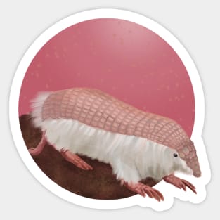 Pink Fairy Armadillo Sticker